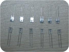 bpt-np13c1